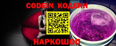 СК Кингисепп