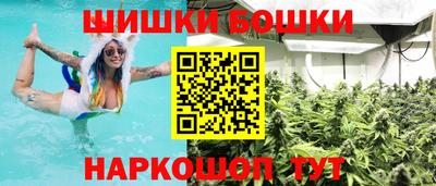 СК Кингисепп