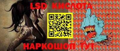 СК Кингисепп