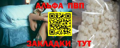 СК Кингисепп