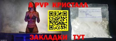 СК Кингисепп