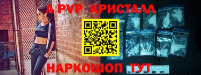 СК Кингисепп